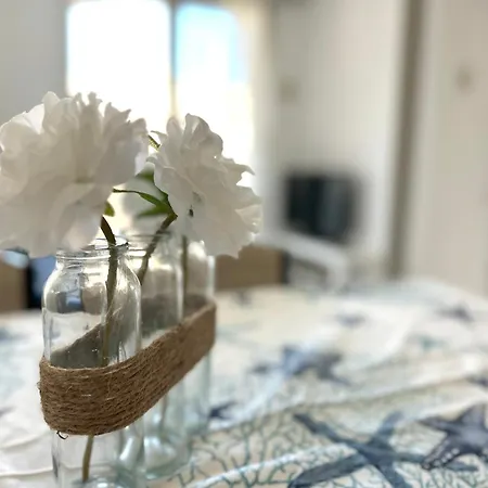 Bright Flat In The Center Of